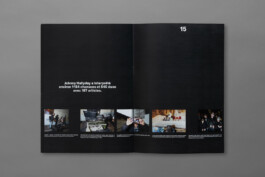 Louis Froidevaux portfolio