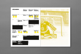 Louis Froidevaux portfolio